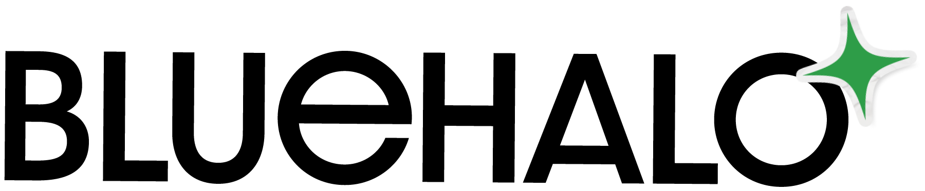 Blue Halo Agency