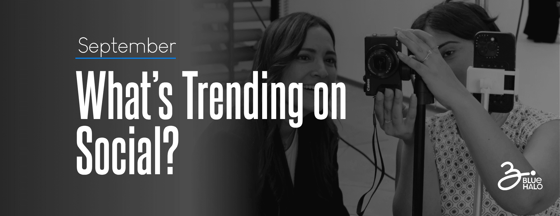 What's trending on social media in september header banner blue halo agency