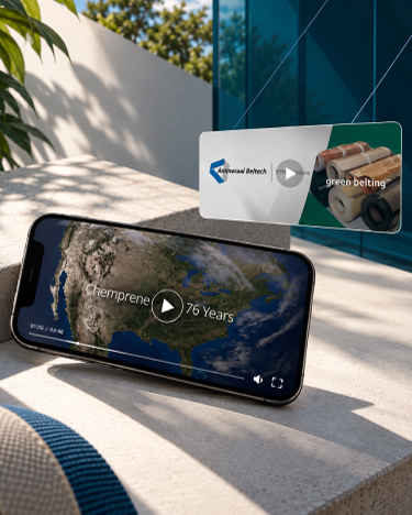 AMMEGA Group Brand Simplification